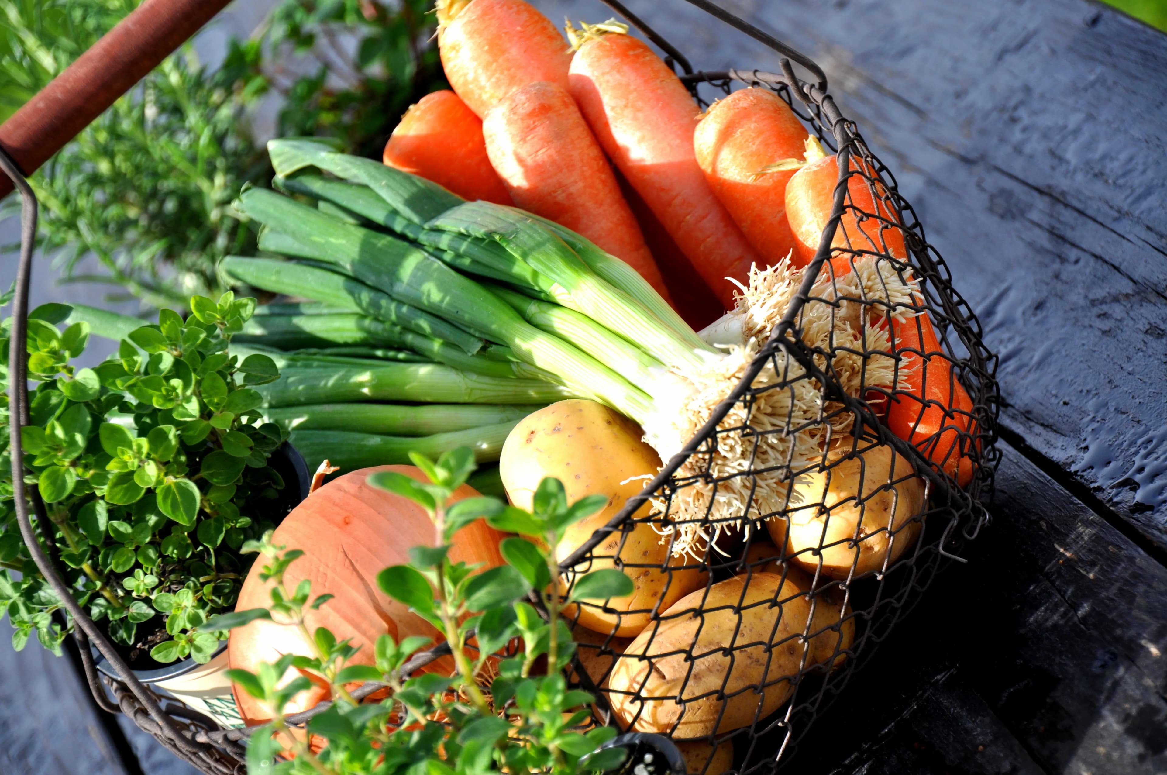 Bio Obst und Gemüse vom Großhandel