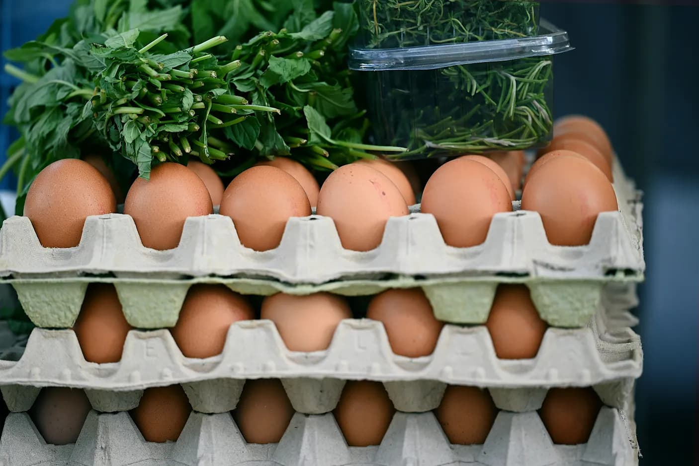 Biohandel - Biologisches Obst und Gemüse
